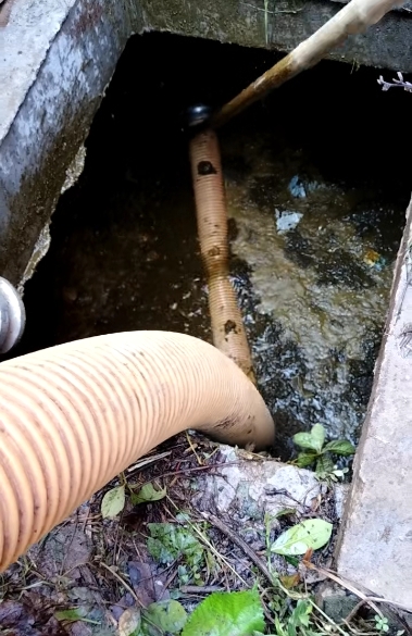 清淤除味护校园！重庆三峡学院生化池深度清理，还师生清新环境