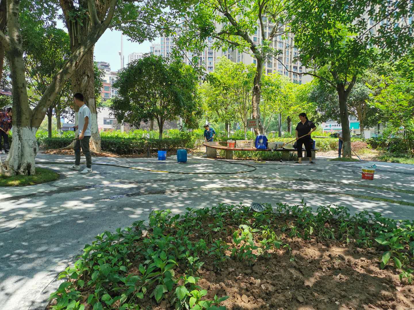 2020年6月5日南滨公园树池地砖清洗工作由重庆美万家保洁服务有限公司承接，并取得甲方的一致好评！